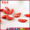 Venta caliente secado goji berry sexo medicina goji berry dieta